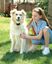Petsafe - Kit Clôture Wireless pour Chiens Indicateur image numéro 7