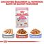 Royal Canin - Croquettes Kitten pour Chaton - 400g Indicateur image numéro 6