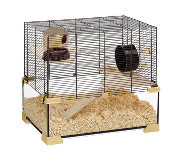 Ferplast - Cage Karat 60 pour Petits Rongeurs - 39x59x52cm