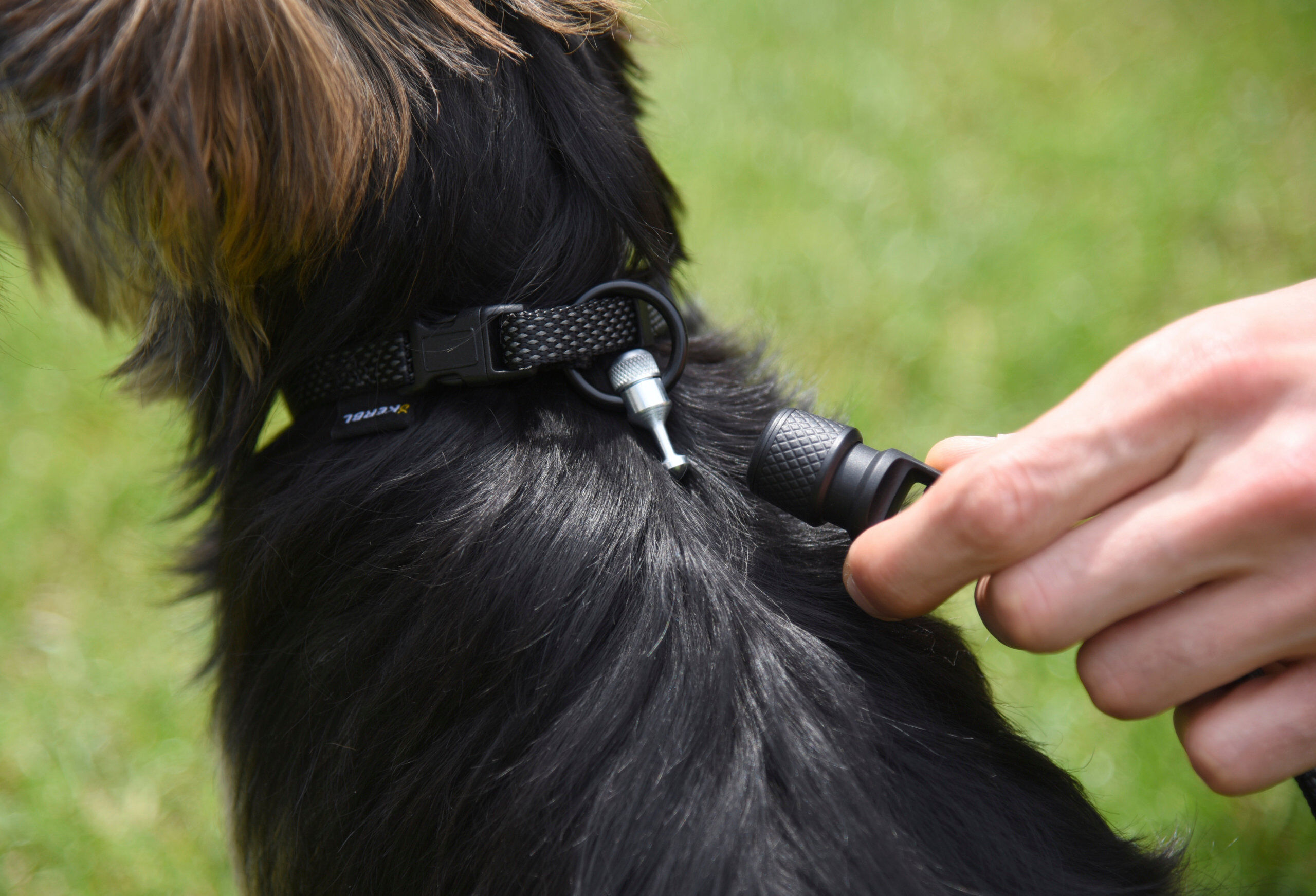 Goleygo - Laisse Plate R&eacute;glable Noir pour Chien - S Image num&eacute;ro 6