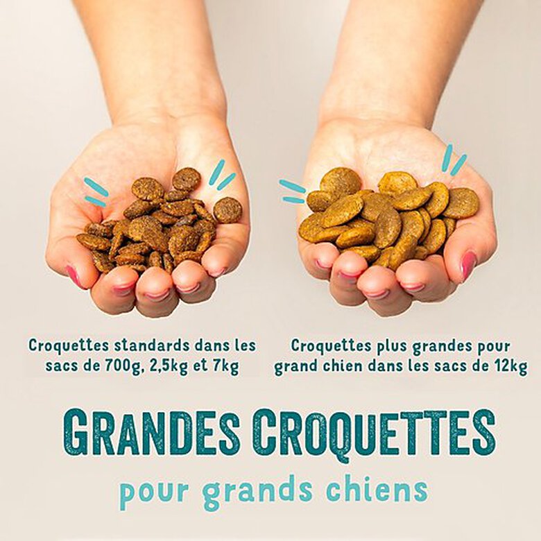 Edgard & Cooper - Croquettes au Poulet et Saumon pour Chien - 2,5Kg image number null