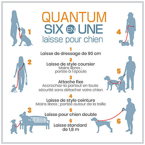 Kurgo - Laisse Min Libre "Quantum" pour Chiens - Framboise Image num&eacute;ro 4