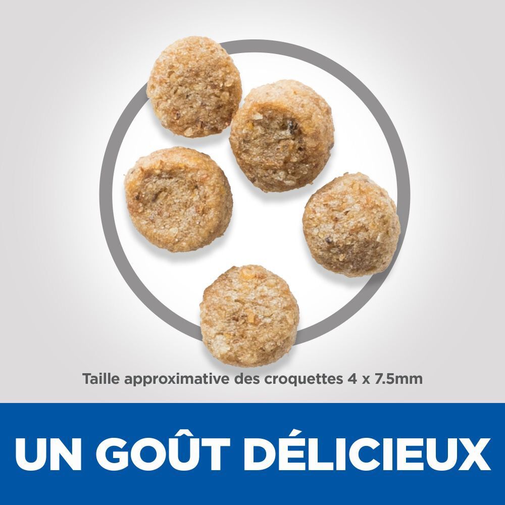 Hill's Science Plan - Mature Adult Light Small & Mini Croquettes Pour Petit Chien Ag&eacute; Poulet - 2,5kg Image num&eacute;ro 5