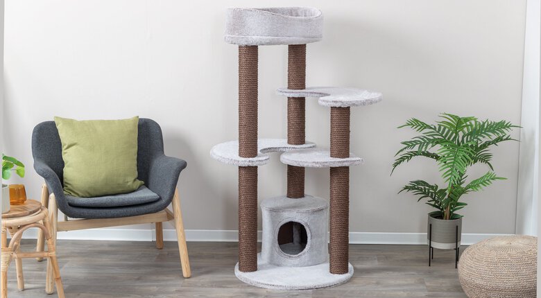 Trixie - Arbre à chat Afonso brun - 135 cm Image numéro 5 Trixie - Arbre à chat Afonso brun - 135 cm Image numéro 5