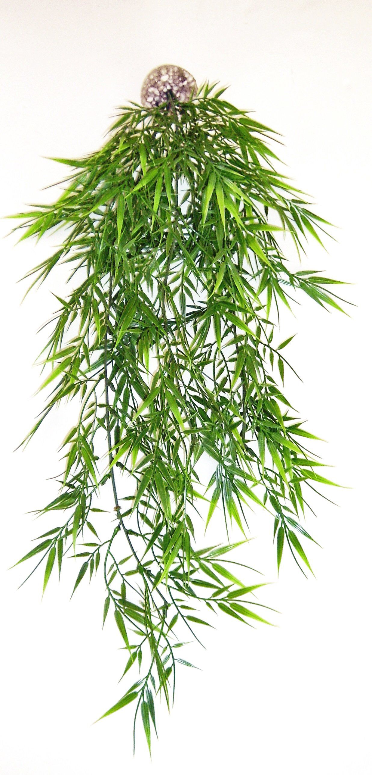 Labeo - Suspension bambou Plante Artificielle Terrarium Image num&eacute;ro 1