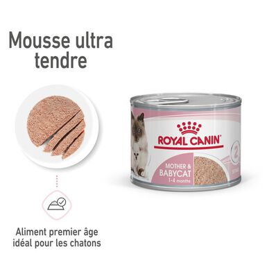 ROYAL CANIN - Pâtée en Mousse MOTHER&BABYCAT CHATTE ET CHATON 0 A 4 MOIS - 6x195g
