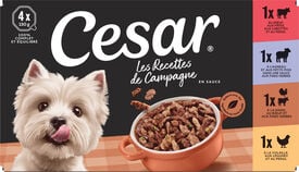 Cesar - Terrines &Agrave; la Carte aux Viandes pour Chien - 4x150g