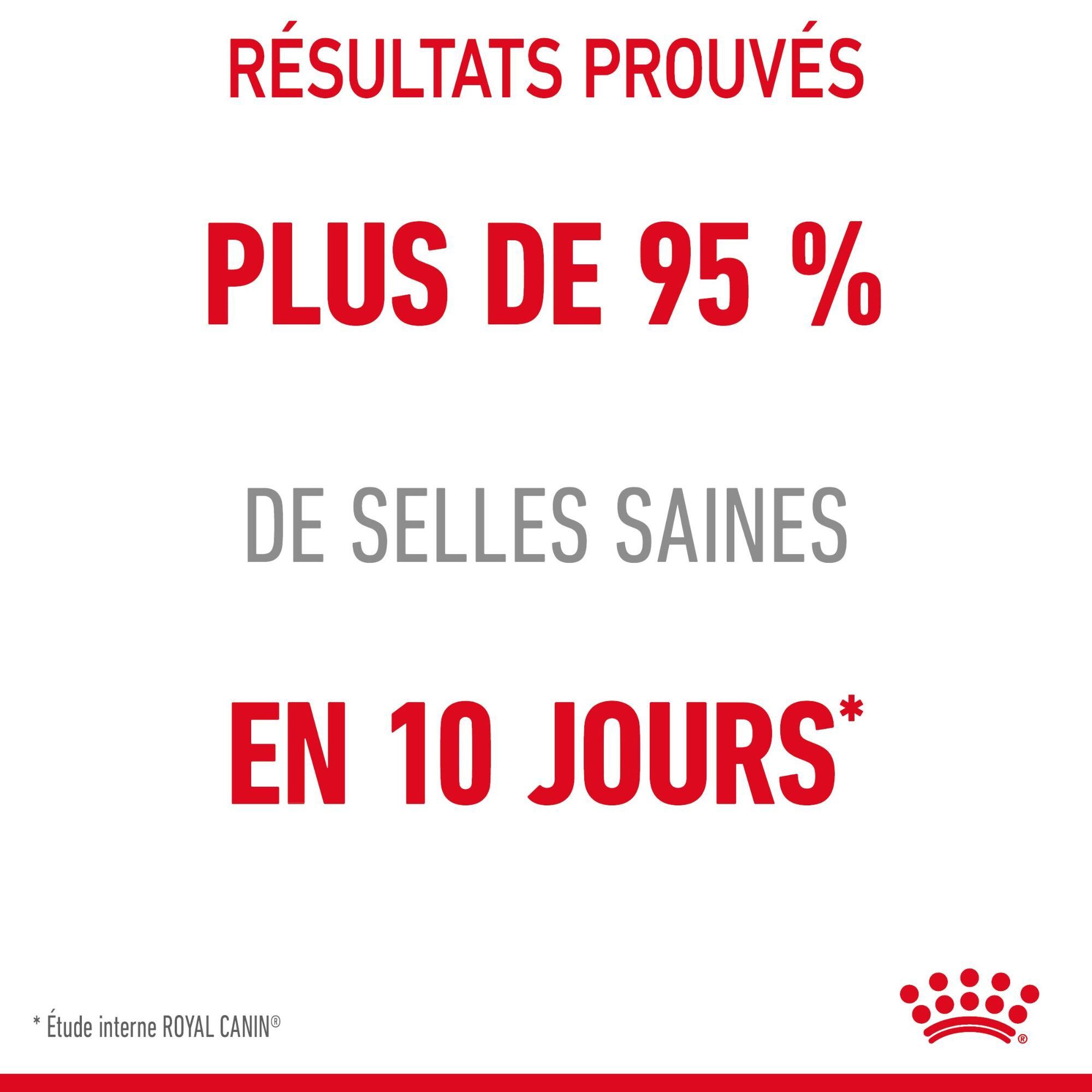 ROYAL CANIN - SACHET FRAICHEUR DIGESTIVE CARE EN MOUSSE CHAT ADULTE - 12x85g Image num&eacute;ro 4