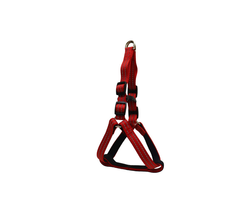 Gotoo - Harnais Essentials en Nylon Premium Rouge pour Chien - XS Image numéro 1 Gotoo - Harnais Essentials en Nylon Premium Rouge pour Chien - XS Image numéro 1