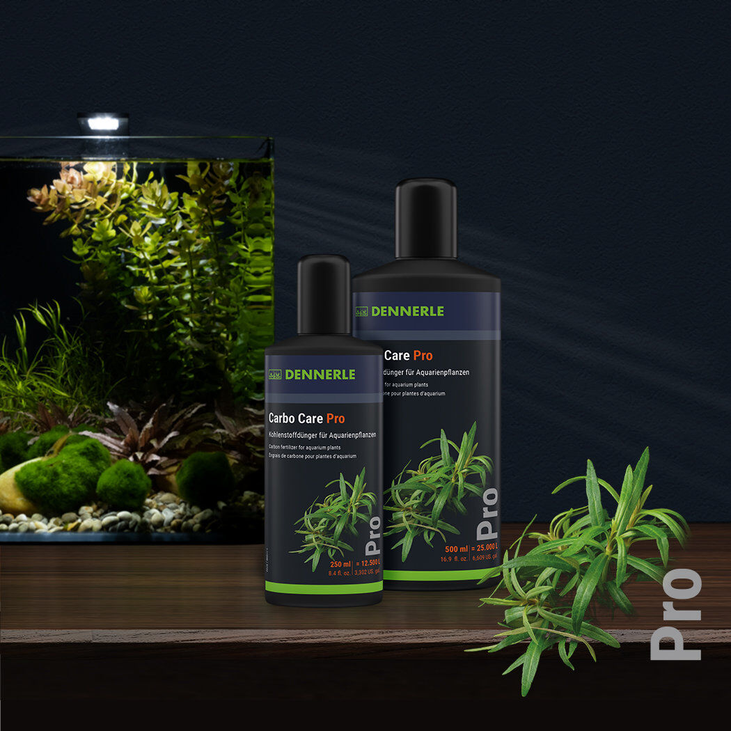 Dennerle - Engrais au carbone Carbo Care Pro pour Plantes - 500ml Image num&eacute;ro 3