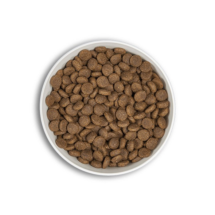 Era - Croquettes Millennium Poulet et Faisan pour Chiens Moyennes et Grandes Races - 500g Image num&eacute;ro 2