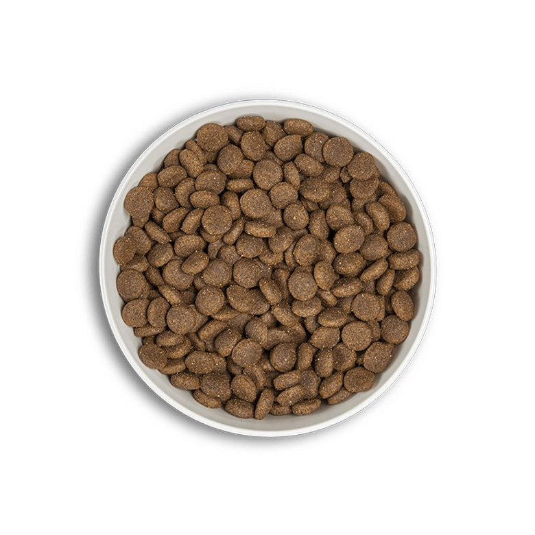 Era - Croquettes Millennium Poulet et Faisan pour Chiens Moyennes et Grandes Races - 500g Image numéro 2 Era - Croquettes Millennium Poulet et Faisan pour Chiens Moyennes et Grandes Races - 500g Image numéro 2