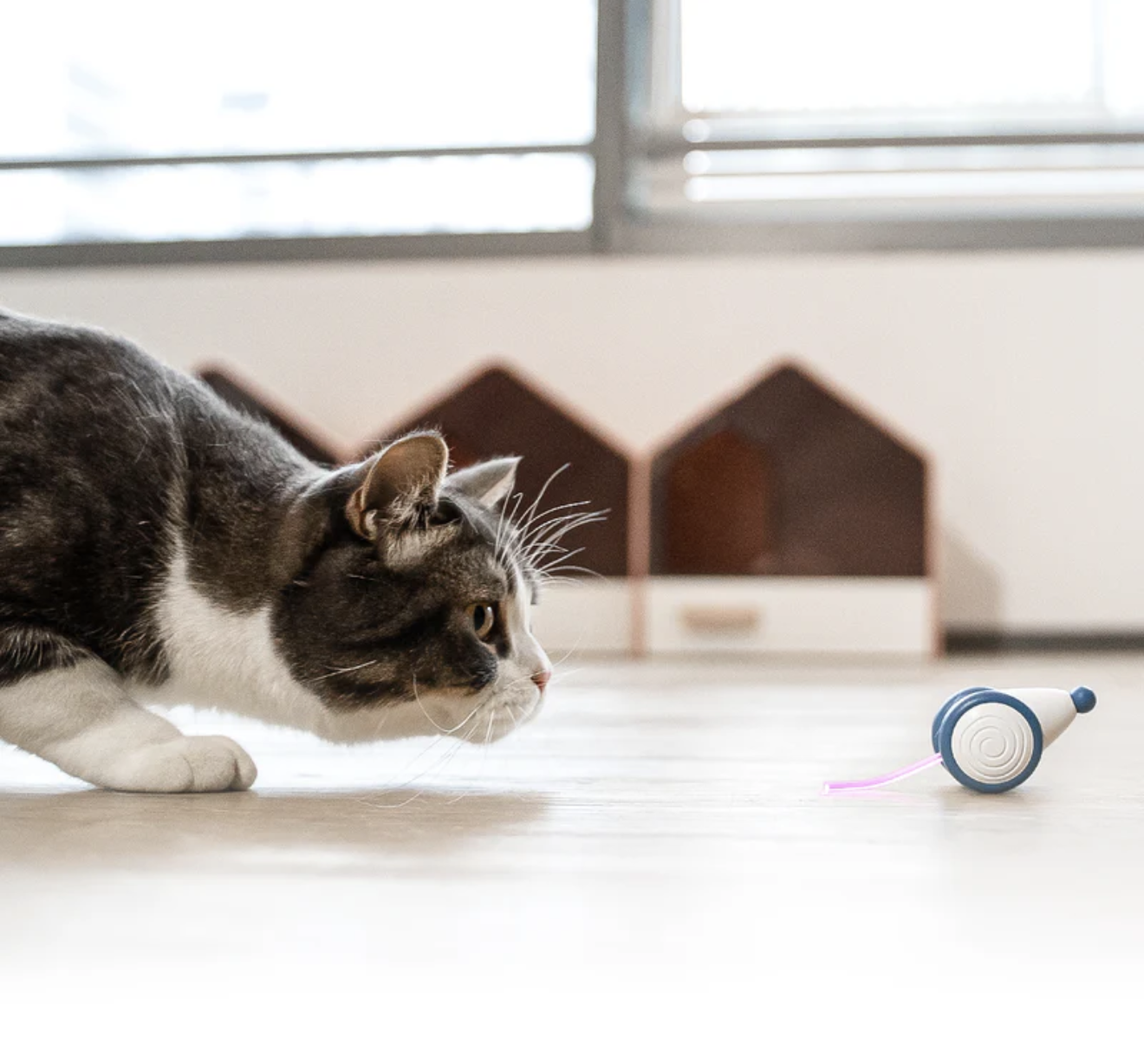 Cheerble - Jouet Balle Int&eacute;ractive Wicked Ball Air pour Chats - Bleu Image num&eacute;ro 2