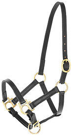 Kerbl - Licol poulain Eco cuir noir