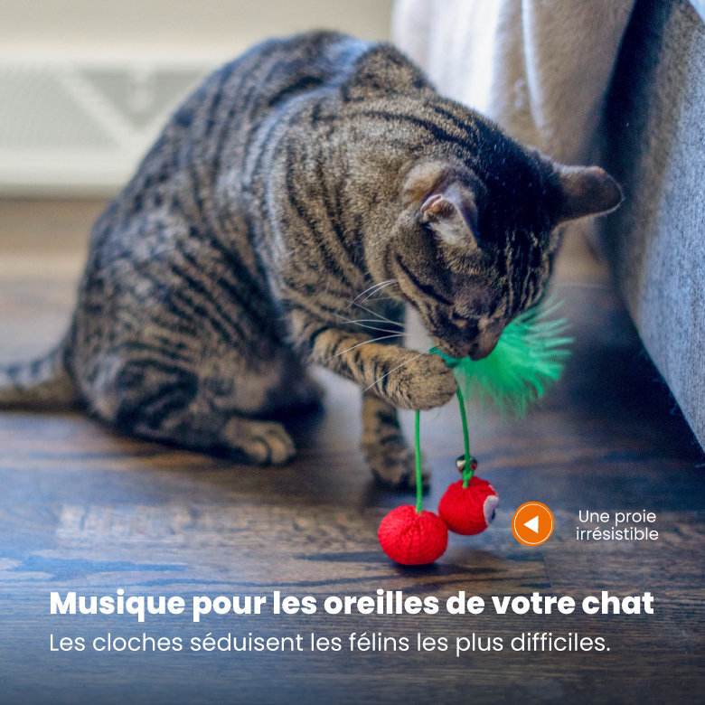 Outward Hound - Jouet à Mâcher Dental Cherries pour Chats Image numéro 6 Outward Hound - Jouet à Mâcher Dental Cherries pour Chats Image numéro 6