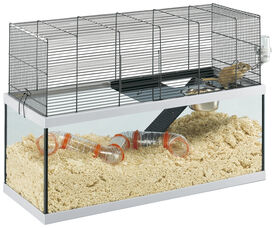 Ferplast - Cage Gabry 80 pour Rongeurs - 30x79x51cm