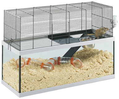 Ferplast - Cage Gabry 80 pour Rongeurs - 30x79x51cm