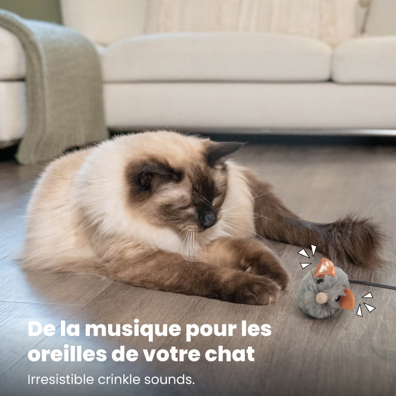 Outward Hound - Jouet Souris Squeak Mouse pour Chats - Gris Image numéro 6 Outward Hound - Jouet Souris Squeak Mouse pour Chats - Gris Image numéro 6