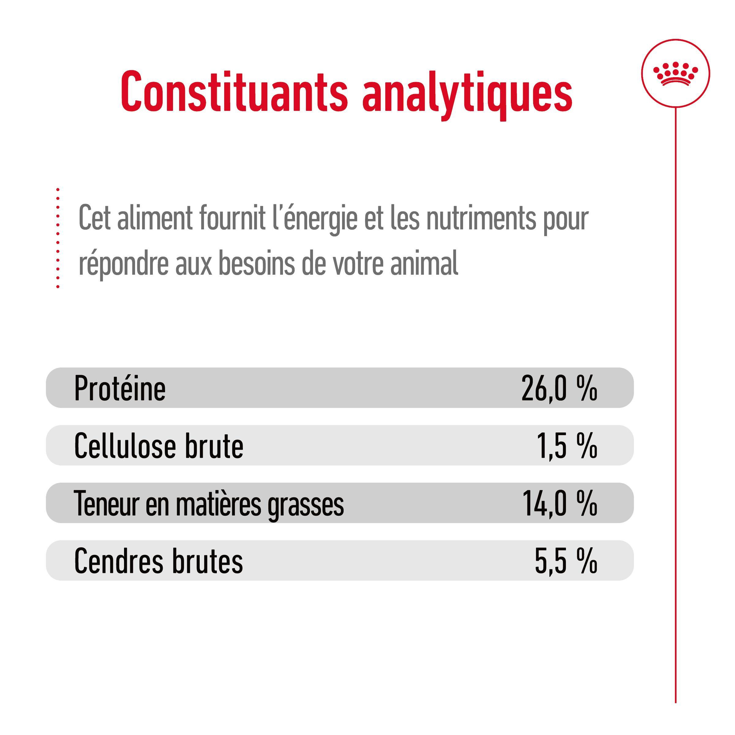Royal Canin - Croquettes Mini Ageing 12+ pour Chien Senior - 3,5Kg Image num&eacute;ro 9