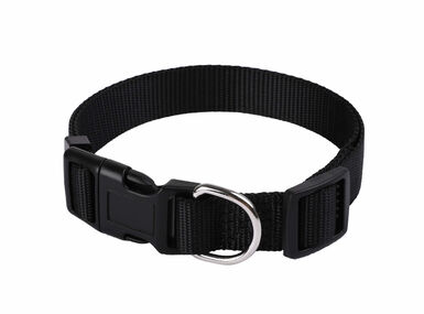 Animalis - Collier Basic 15mm et 25/40cm pour Chien - Noir