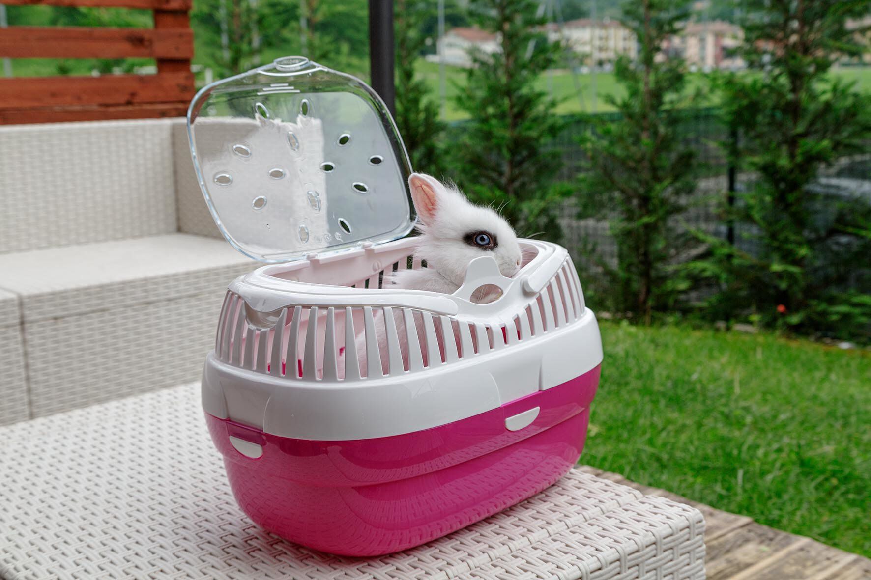 Ferplast - Transport Aladino Fuchsia pour Rongeurs - L Image num&eacute;ro 4