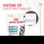 Royal Canin - Aliment complémentaire Adult Joint & Agieing Chews pour Chiens - 240g Indicateur image numéro 9