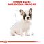 Royal Canin - Croquettes Bouledogue Français Junior pour Chiot - 10Kg Indicateur image numéro 6