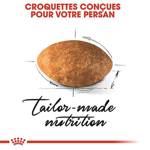 Royal Canin - Croquettes Persian pour Chat Adulte - 4Kg image number null
