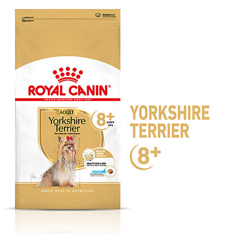 Royal Canin - Croquettes Yorkshire Terrier Adult 8+ pour Chiens Seniors - 1,5Kg image number null
