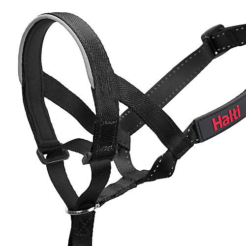 Halti - Licol Headcollar Noir pour Chiens - T1 Image num&eacute;ro 3
