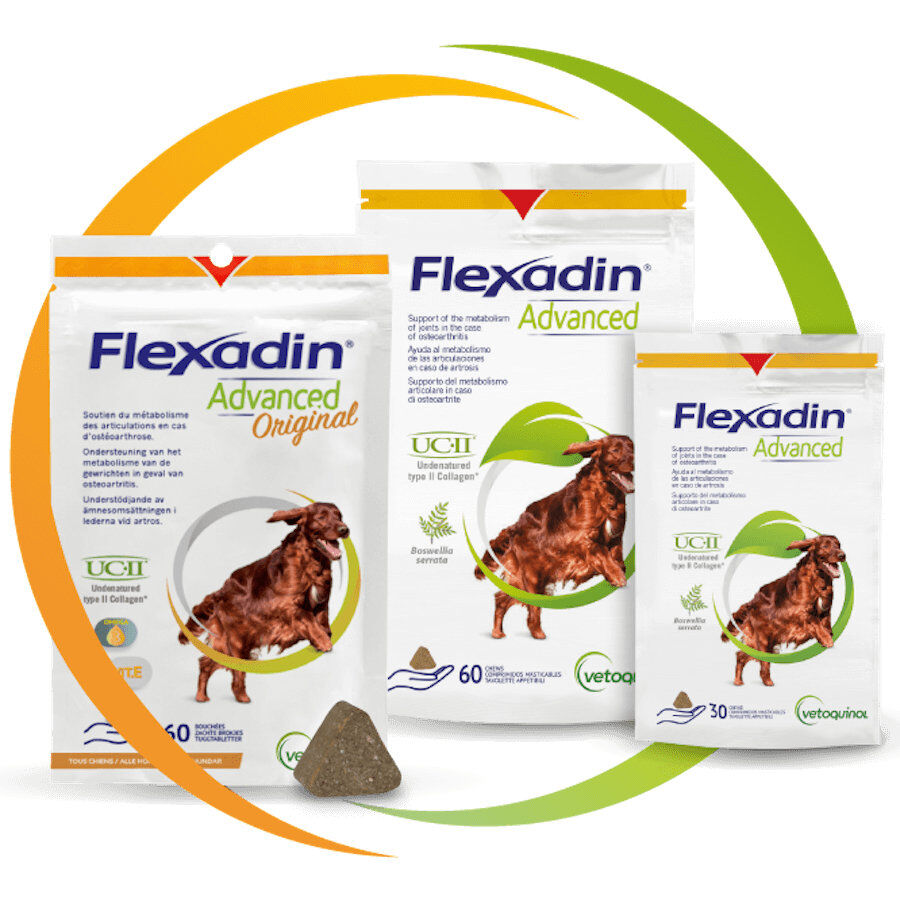 Vetoquinol - Compl&eacute;ment Articulaire Flexadin Advanced pour Chiens - 60g Image num&eacute;ro 2