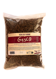 Gasco - Vers de Farine pour Basse-Cour - 1Kg