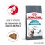 Royal Canin - Croquettes Hairball Care pour Chat - 4Kg Indicateur image numéro 1