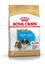 Royal Canin - Croquettes Shi Tzu Junior pour Chiot - 1,5Kg Indicateur image numéro 1