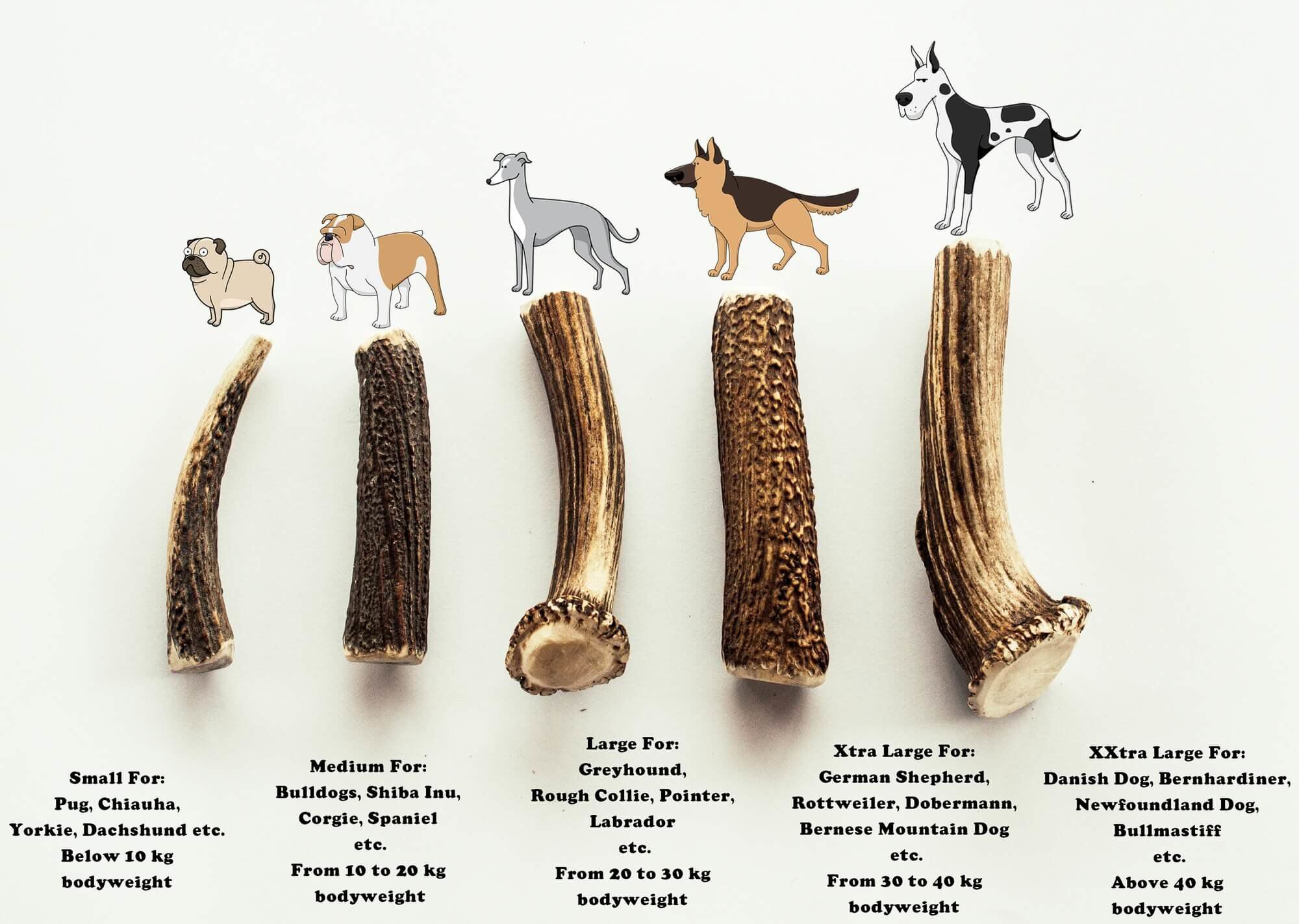 Nutrivia Nature Plus - Bois de Cerf Entier pour Chien - XL Image num&eacute;ro 3