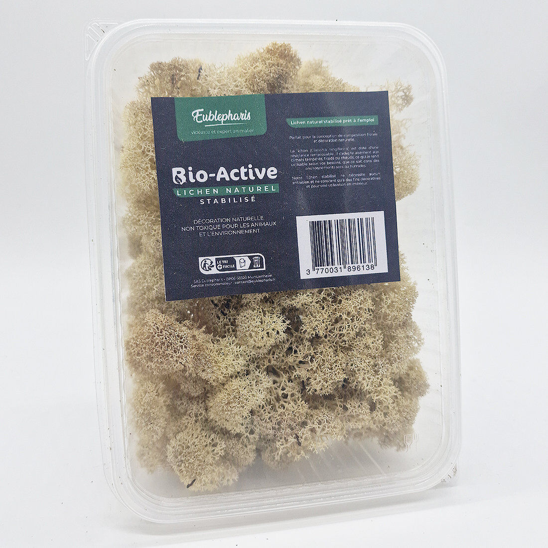 Eublepharis - Lichen Stabilis&eacute; Naturel pour Reptiles Image num&eacute;ro 1