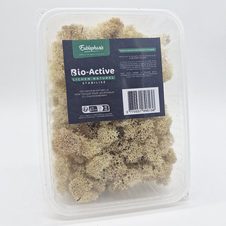Eublepharis - Lichen Stabilisé Naturel pour Reptiles Image numéro 1 Eublepharis - Lichen Stabilisé Naturel pour Reptiles Image numéro 1