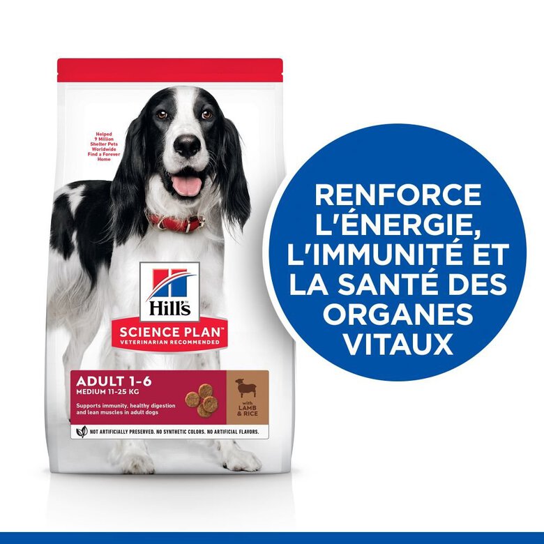 Hill's Science Plan - Adult Croquettes Pour Chien A L'agneau Et Riz  - 12kg Image numéro 2 Hill's Science Plan - Adult Croquettes Pour Chien A L'agneau Et Riz  - 12kg Image numéro 2