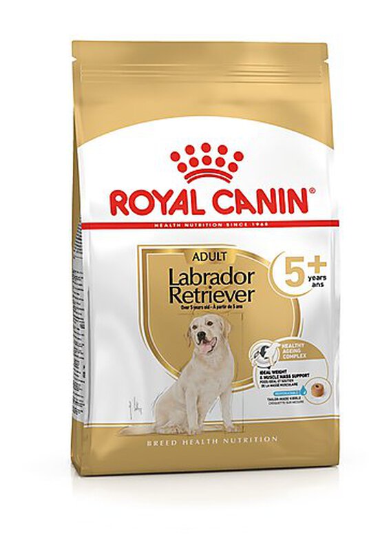 Royal Canin - Croquettes Labrador Adult 5+ pour Chien - 12Kg image number null