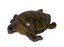 Labeo - Décoration Tortue pour Aquarium Indicateur image numéro 2