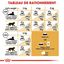 Royal Canin - Croquettes Persian pour Chat Adulte à partir de 12 Mois - 10Kg Indicateur image numéro 7