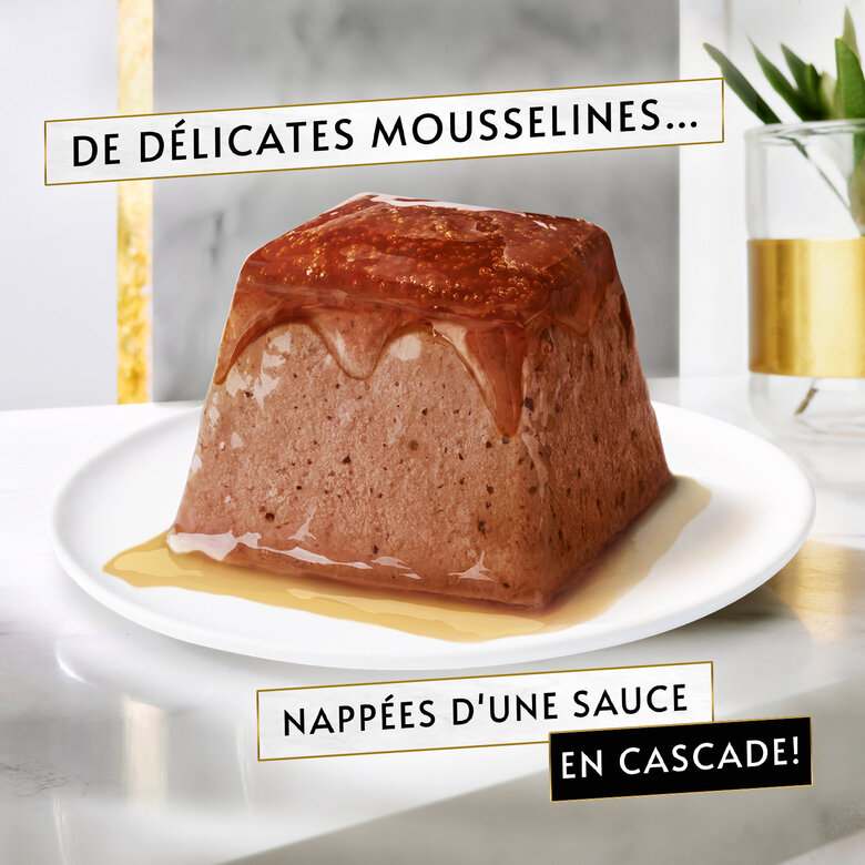 Gourmet - Repas REVELATIONS Mousseline Poulet et Bœuf nappée de sauce pour Chats - 48X57g image number null