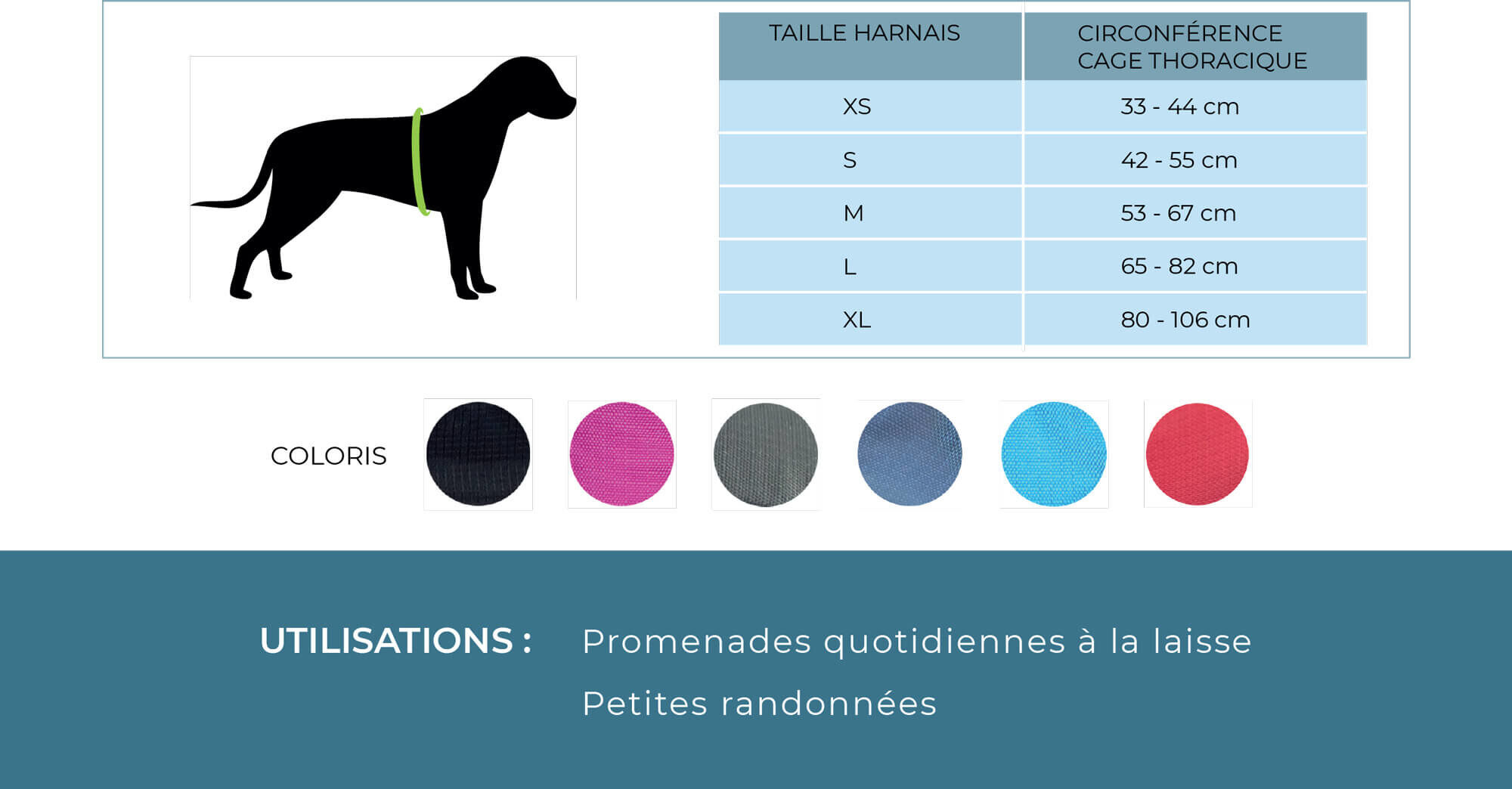 Kyflie - Harnais de promenade MOMENTUM Noir pour Chien - XS Image num&eacute;ro 3