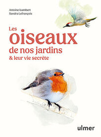 Les oiseaux de nos jardins