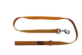 Gotoo - Laisse Essentials en Nylon Premium Orange pour Chien