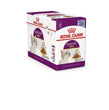Royal Canin - Pâtée Sensory Smell en Gelée pour Chat - 12x85g