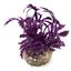 Labeo - Décoration Plante Artificielle Papyrus  pour Aquarium Indicateur image numéro 3