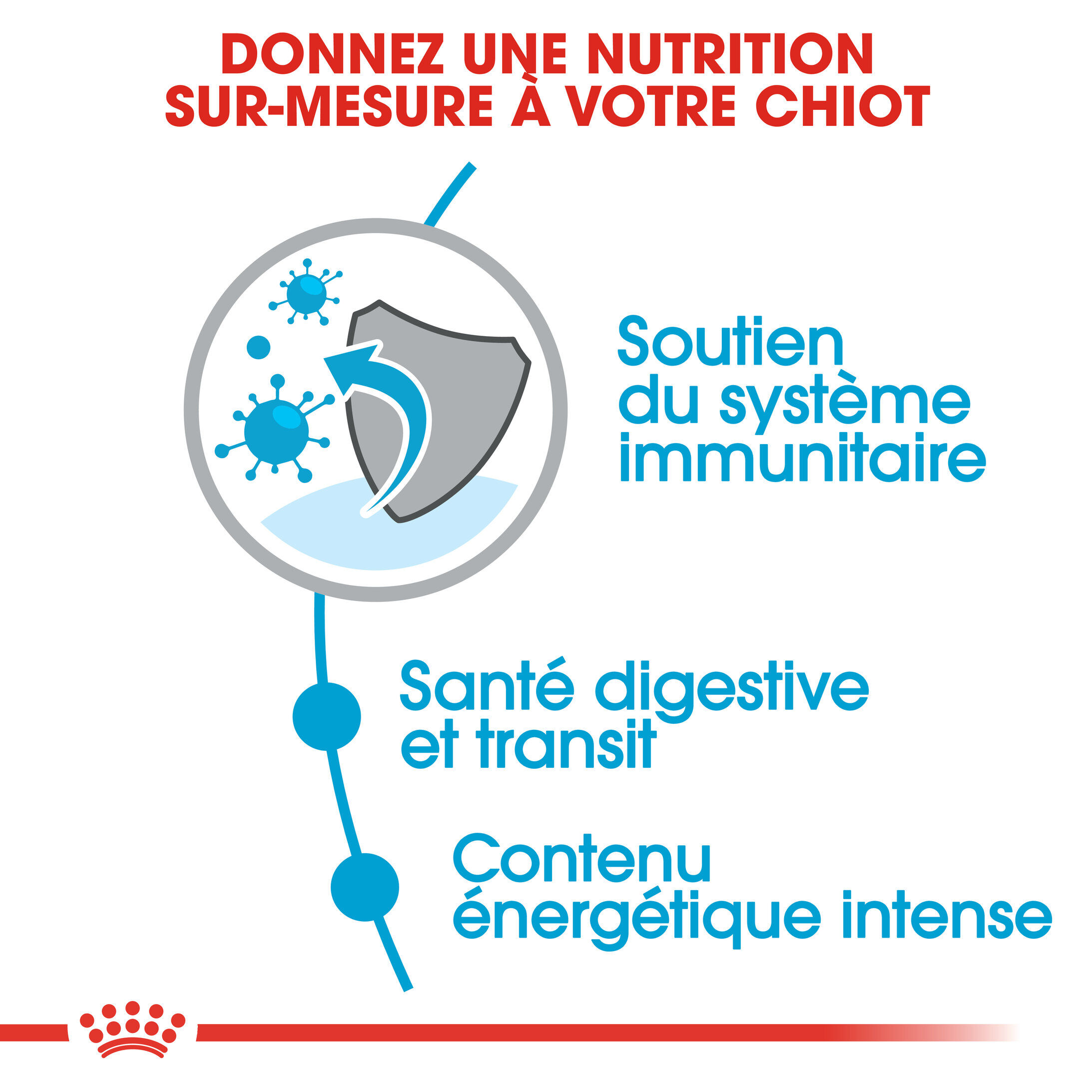 Royal Canin - Croquettes Puppy X-Small pour Chiots de 2 &agrave; 10 Mois - 1,5Kg Image num&eacute;ro 7