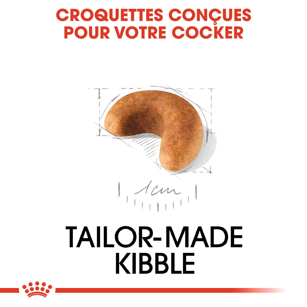 Royal Canin - Croquettes PUPPY COCKER pour Chiots - 3KG Image num&eacute;ro 4