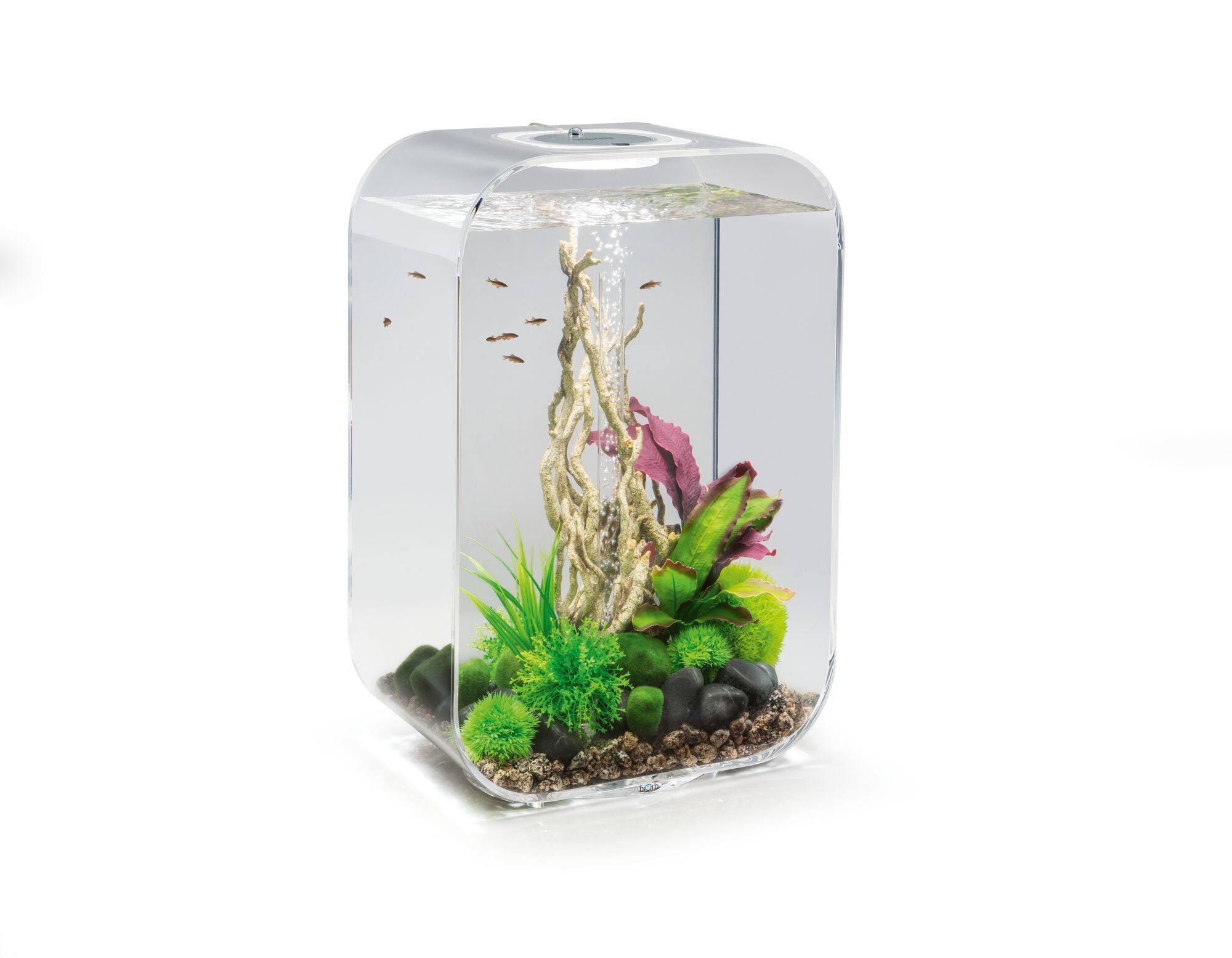 biOrb - Aquarium Life - 45 mcr transparent Image num&eacute;ro 1